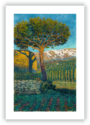 El pino de Béjar                                                                                                               